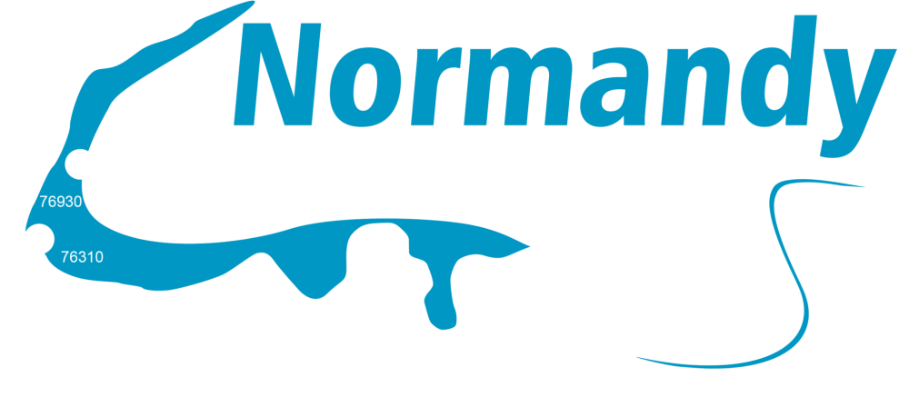 logo-normandy-auto-ecole-blanc logo-normandy-auto-ecole-blanc